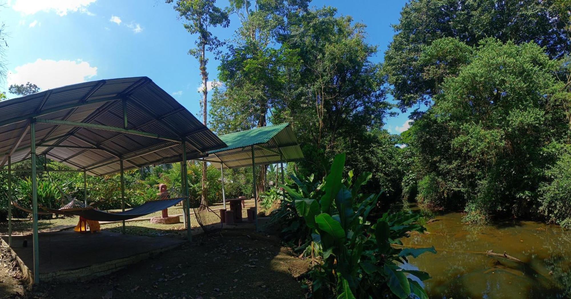 Finca La Paz - Sarapiqui Puerto Viejo de Sarapiqui Exteriér fotografie