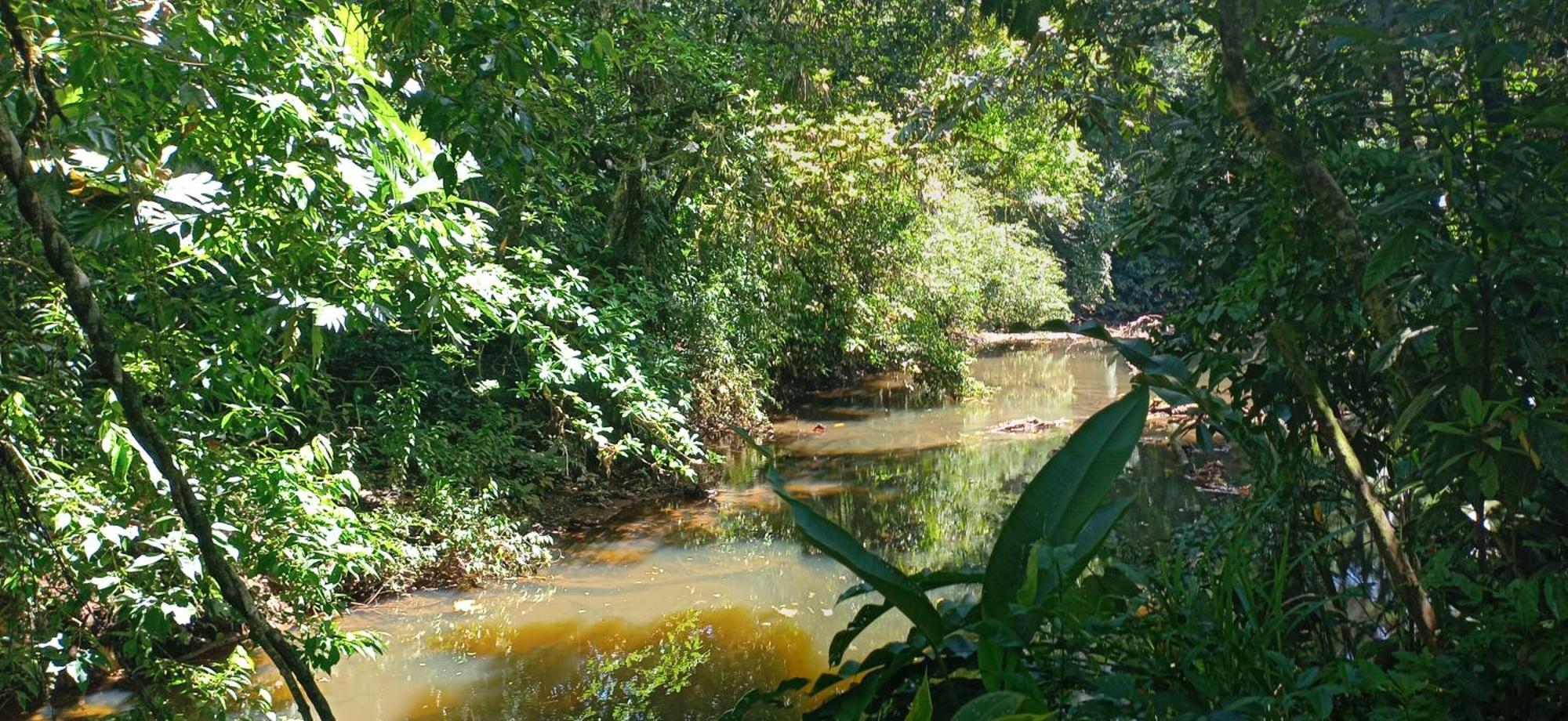 Finca La Paz - Sarapiqui Puerto Viejo de Sarapiqui Exteriér fotografie