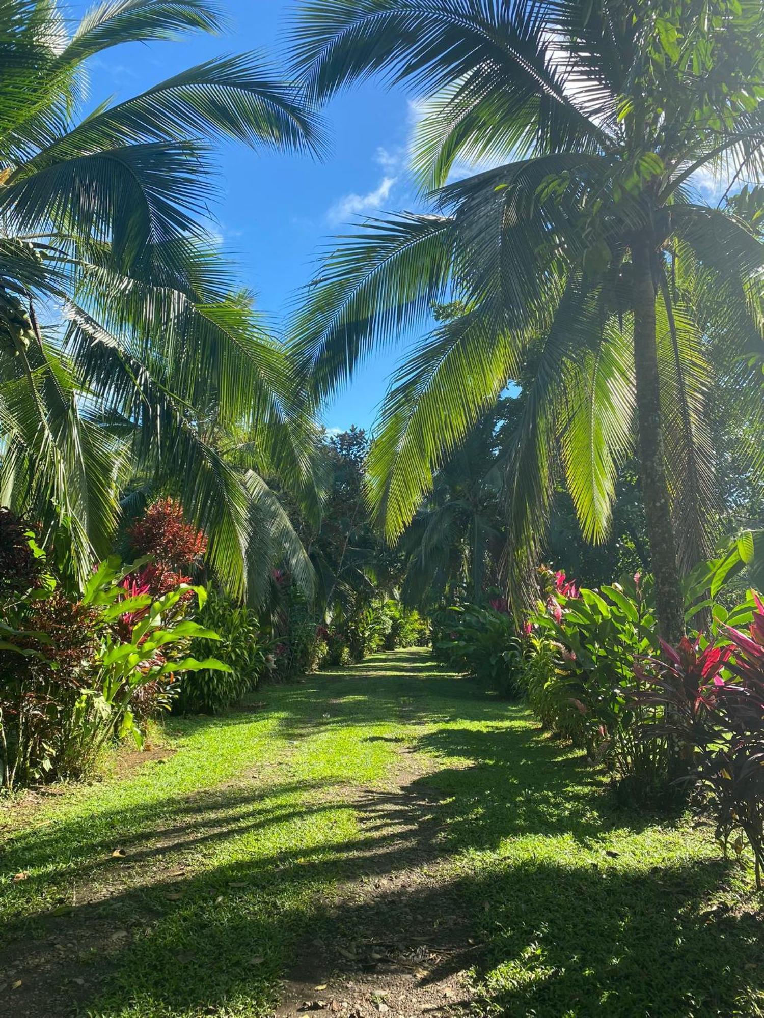 Finca La Paz - Sarapiqui Puerto Viejo de Sarapiqui Exteriér fotografie